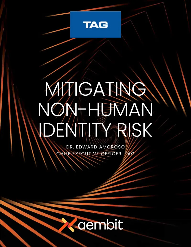 Mitigating Non-Human Identity Risk in Cybersecurity