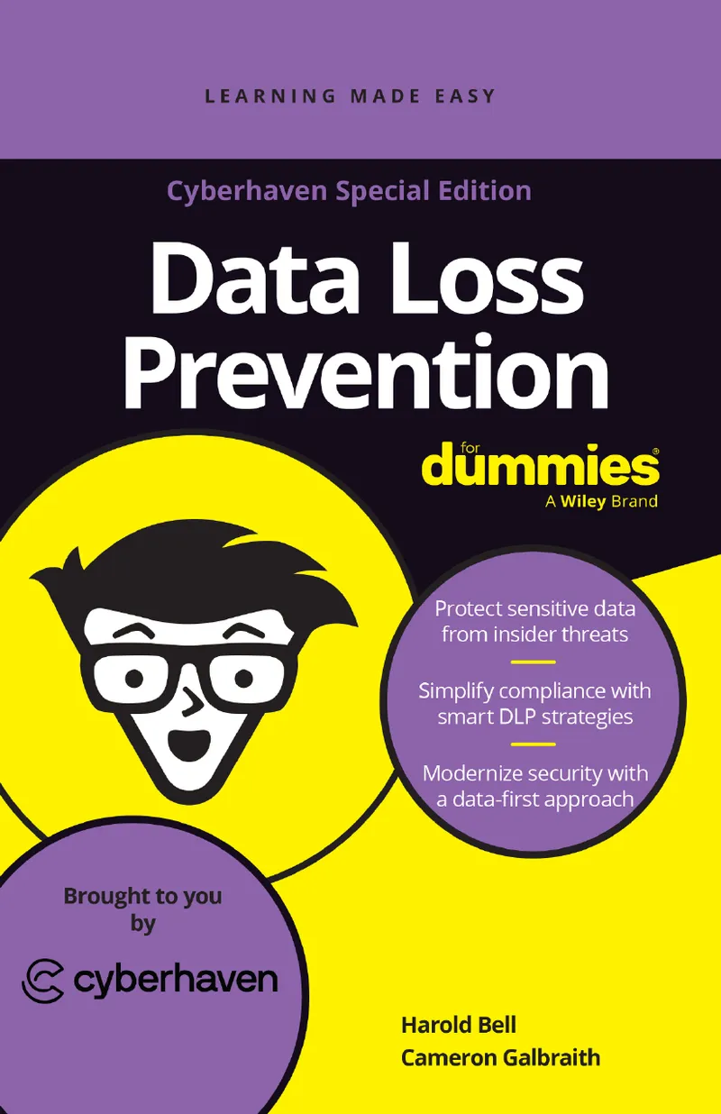 Data Loss Prevention For Dummies Cyberhaven Special Edition