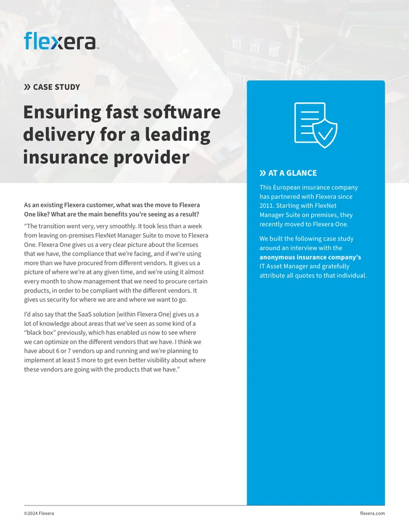 Case Study on Flexera One Implementation