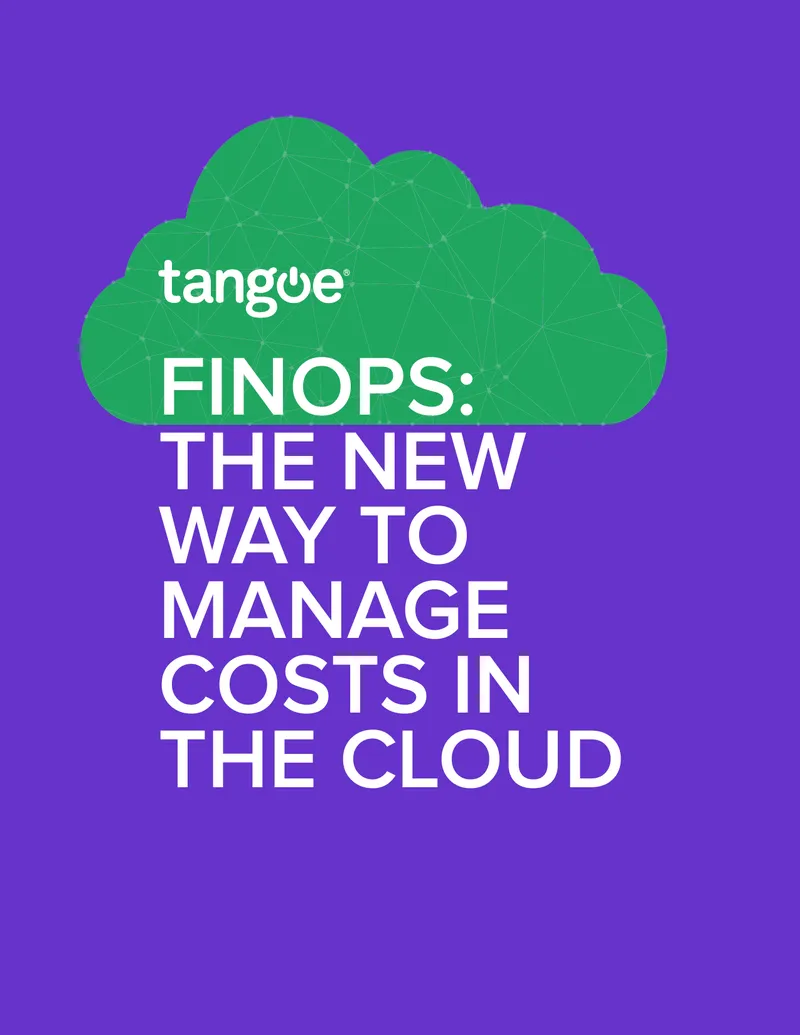 FinOps Framework for Cloud Cost Management