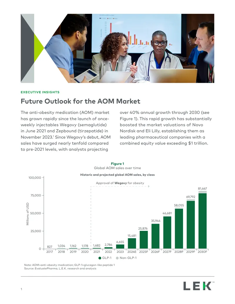 Future Outlook for the Anti-Obesity Medication Market