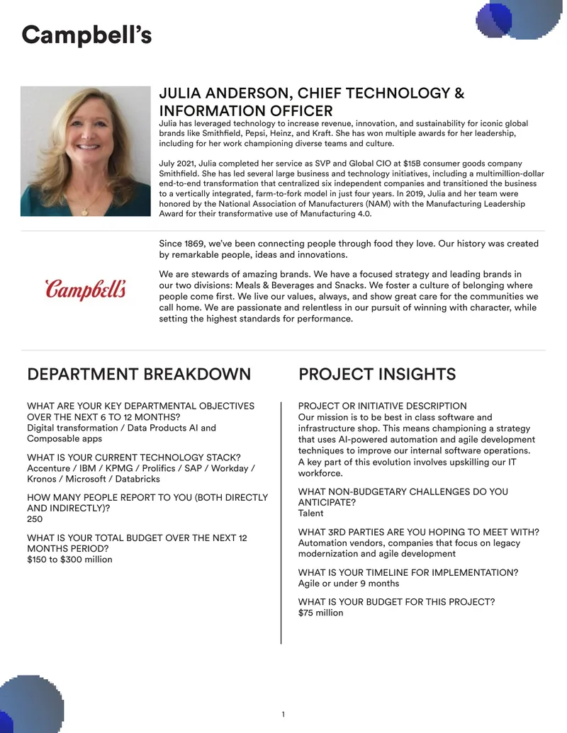 Technology and Innovation Strategy Overview