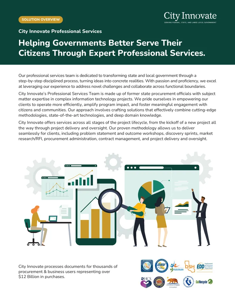 Professional Services for Government Procurement