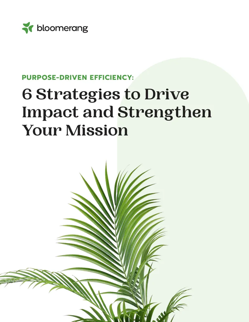Purpose-Driven Efficiency Strategies for Nonprofits