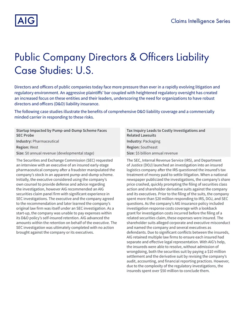 Public Company Directors and Officers Liability Case Studies