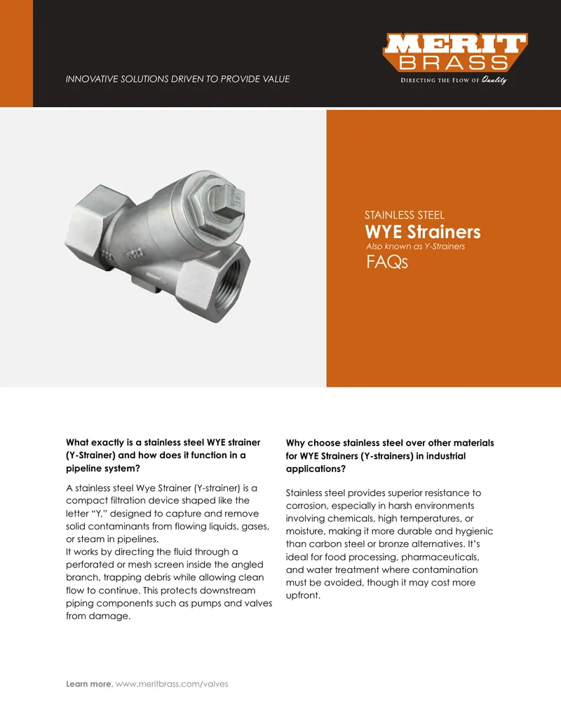 Stainless Steel WYE Strainer Functionality and Applications