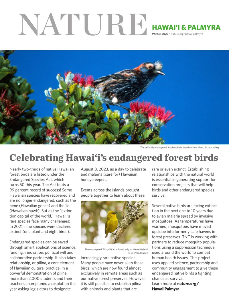 Restoration Efforts for Hawaiian Ecosystems preview page 1