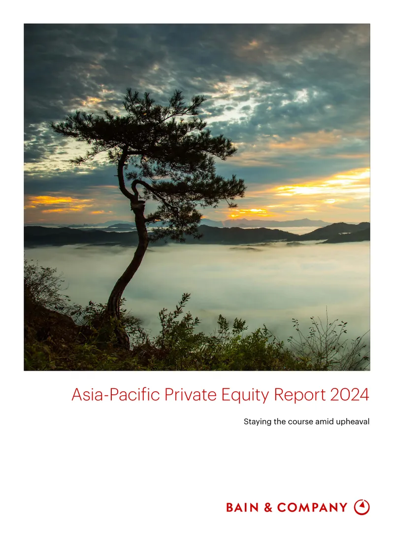 Asia-Pacific Private Equity Market Analysis 2024