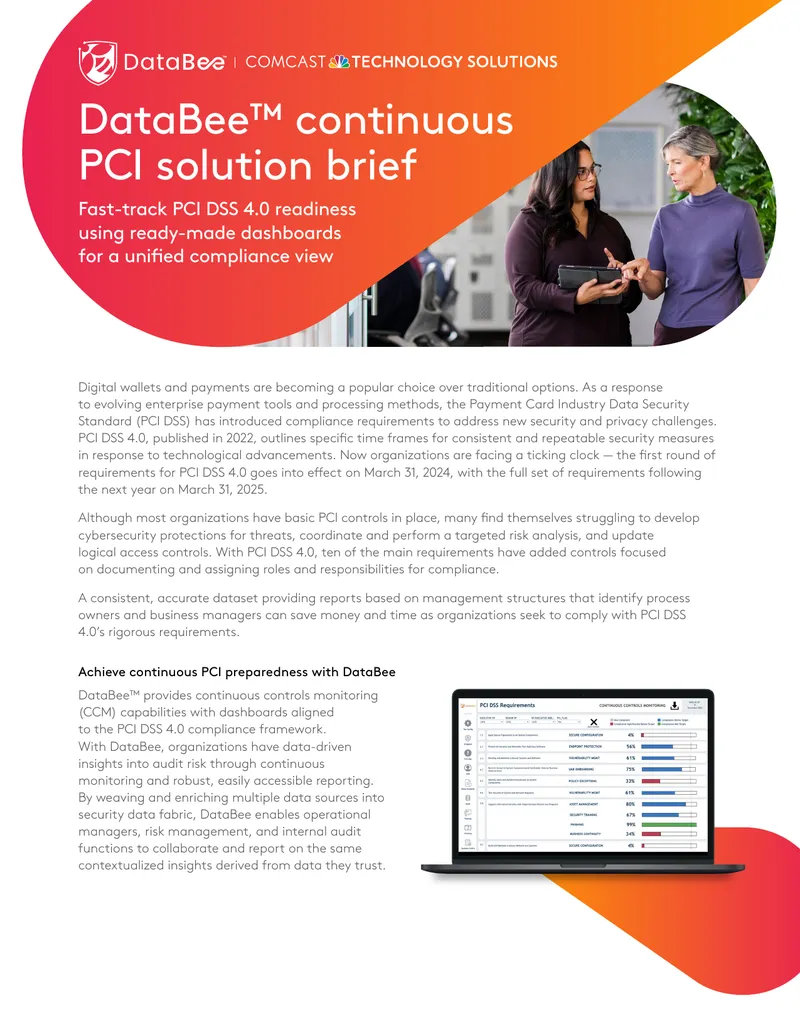 DataBee Continuous PCI Solution Brief