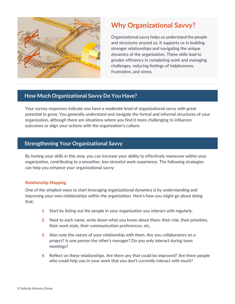 Organizational Savvy Development Strategies