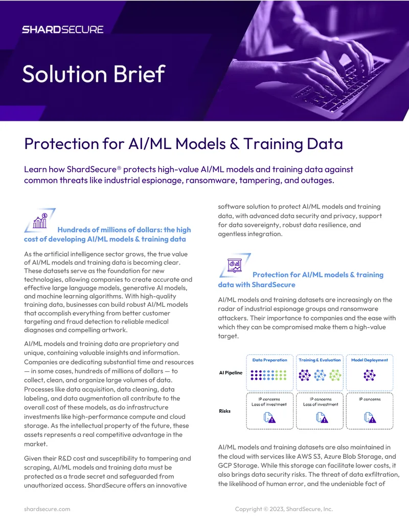 Protection for AI/ML Models and Training Data