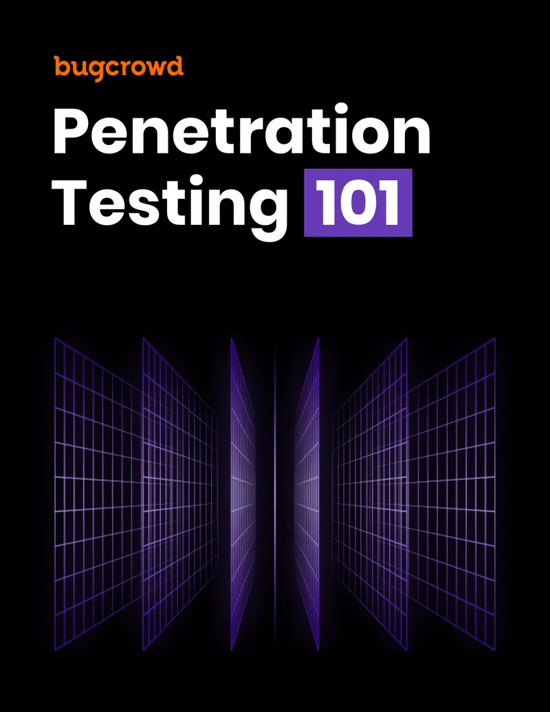 Comprehensive Guide to Penetration Testing