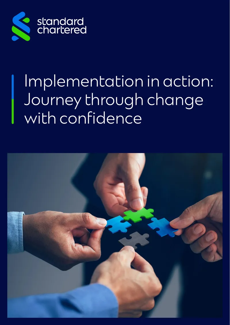 Implementation Strategies for Banking Transition Management