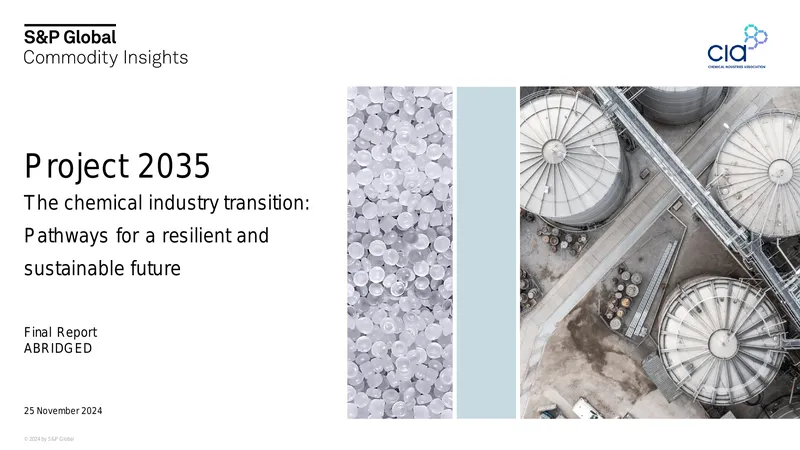 Chemical Industry Transition Pathways for Sustainability
