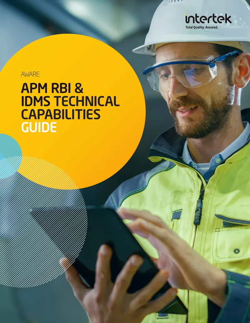 APM RBI and IDMS Technical Capabilities Guide