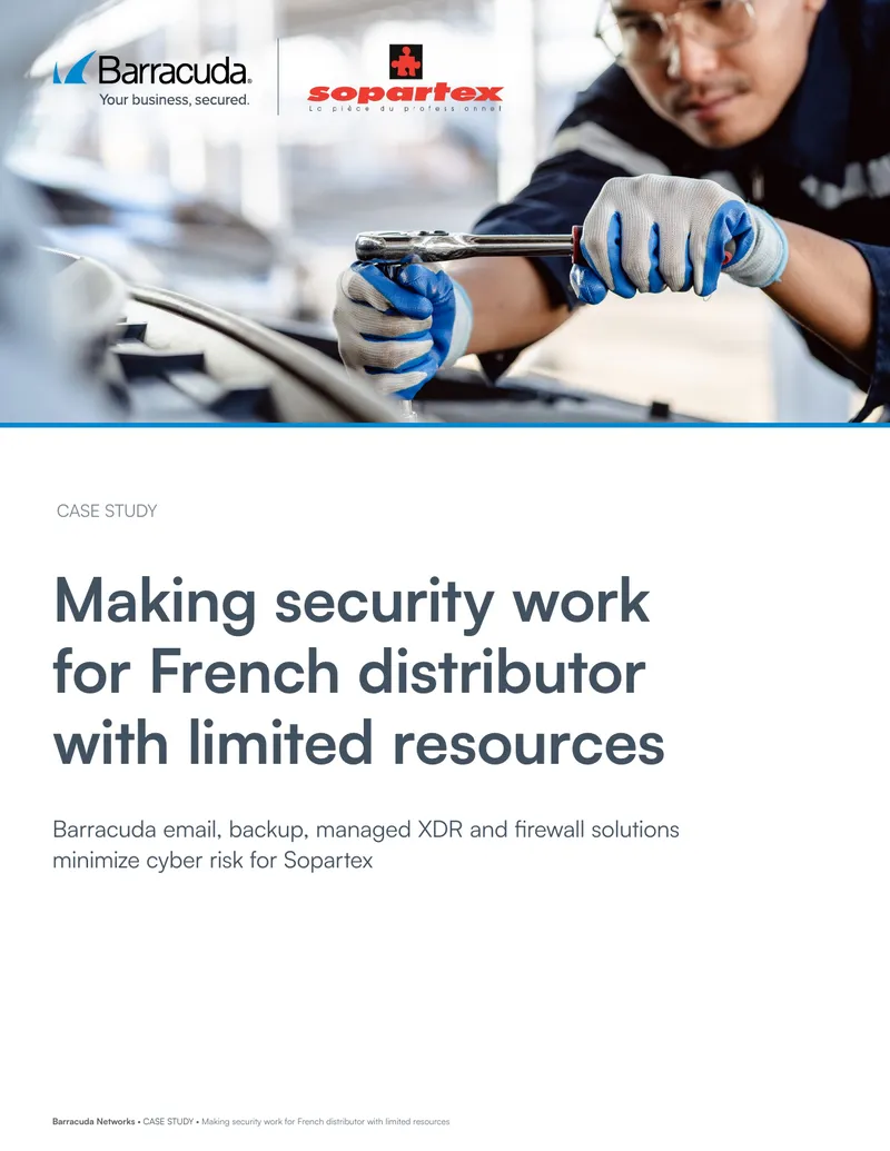 Cybersecurity Solutions for French Distributor