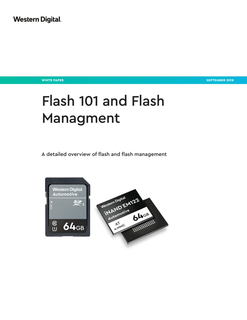 NAND Flash Technology and Management Techniques