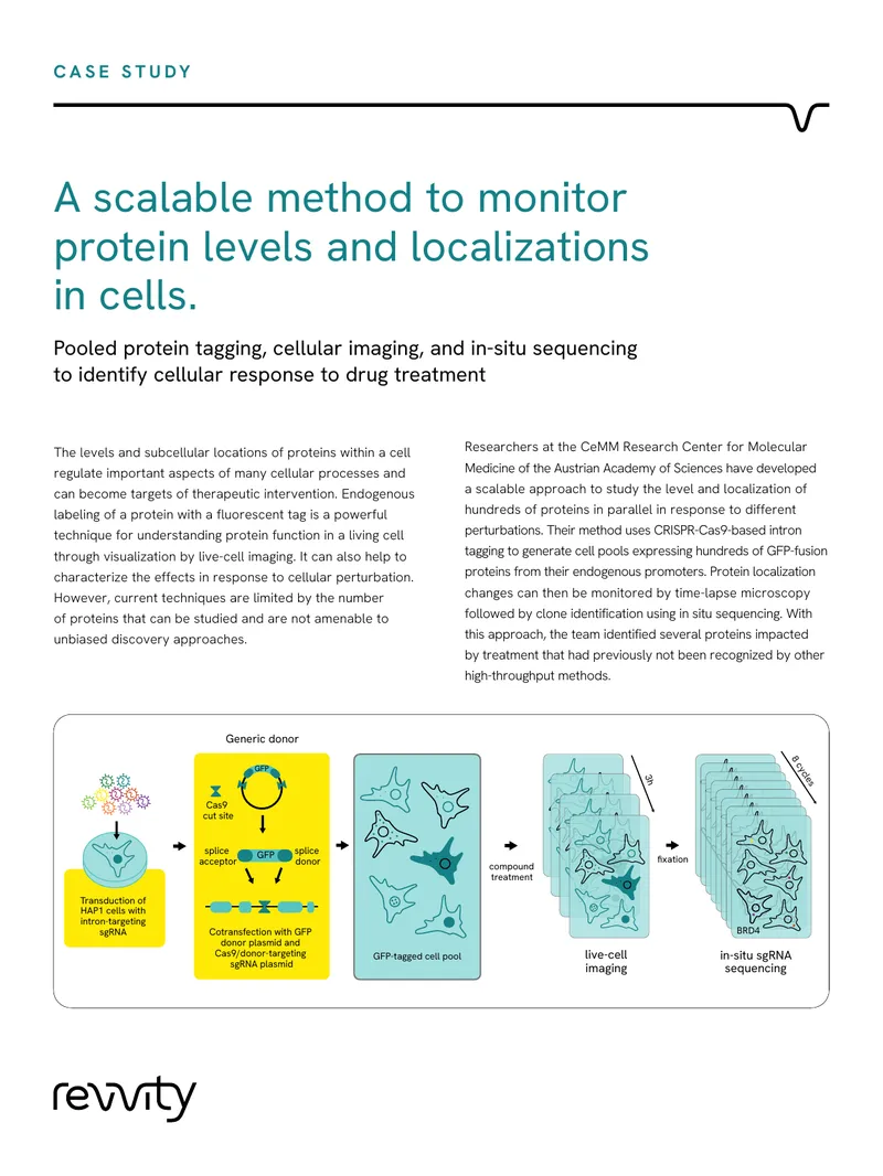 Scalable Method for Monitoring Protein Levels in Cells