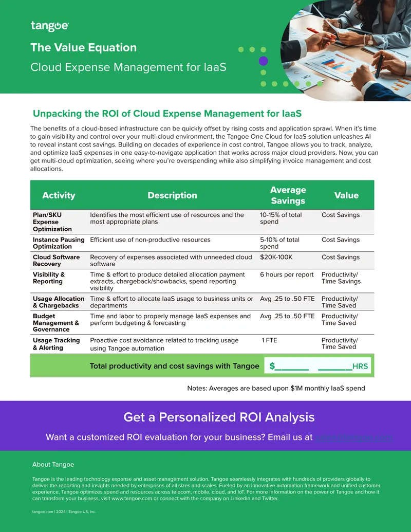 ROI Analysis of Cloud Expense Management for IaaS