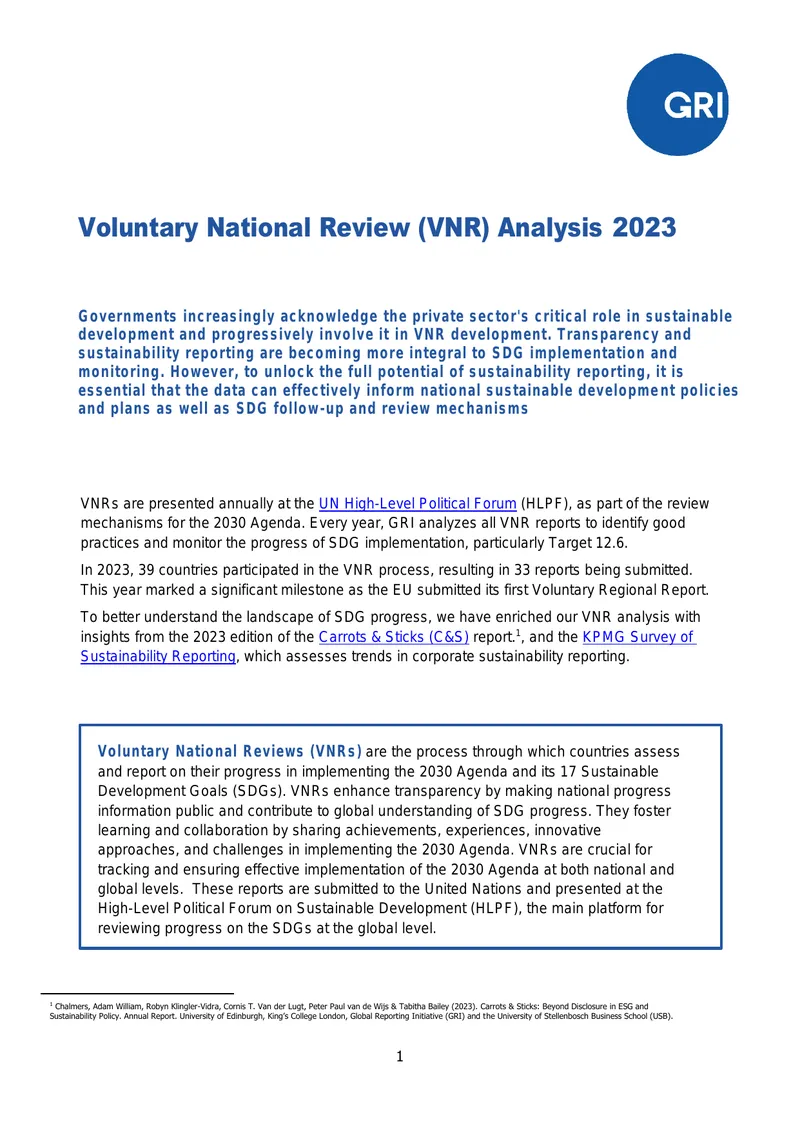 Voluntary National Review Analysis 2023
