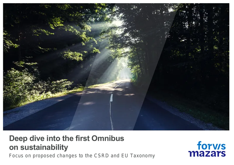 Analysis of the First Omnibus on Sustainability