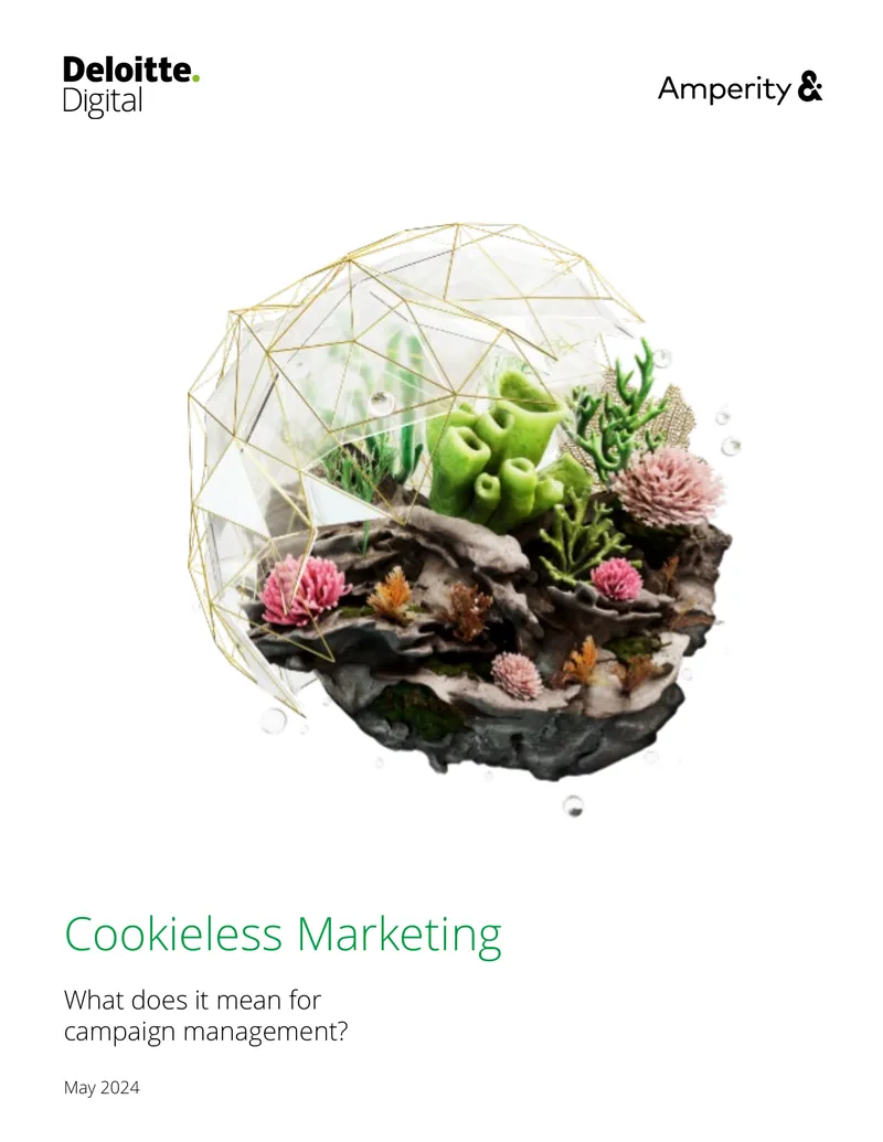 Cookieless Marketing Strategies for Campaign Management