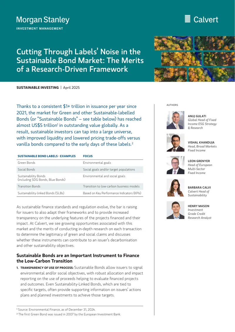 Sustainable Bond Market Analysis and Evaluation Framework