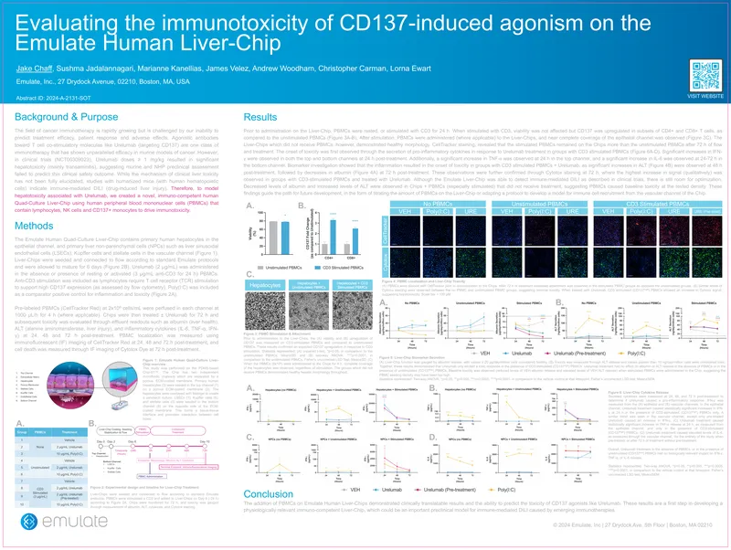 Evaluating Immunotoxicity of CD137 Agonism on Liver-Chip