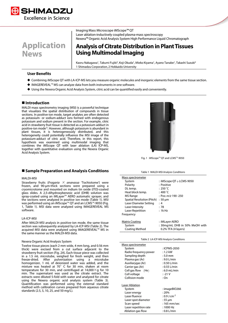 Analysis of Citrate Distribution in Strawberry Tissues