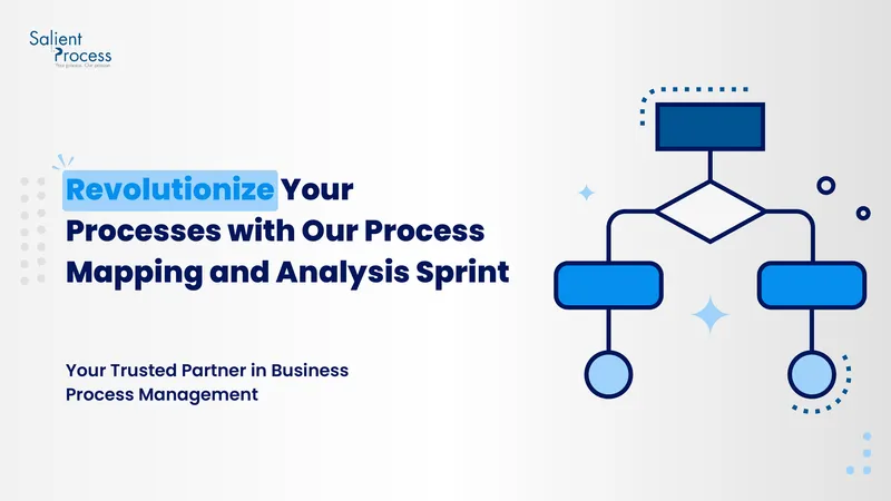 Process Mapping and Analysis Service Overview