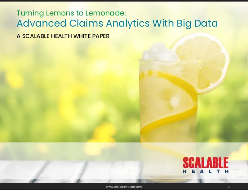 Advanced Claims Analytics with Big Data