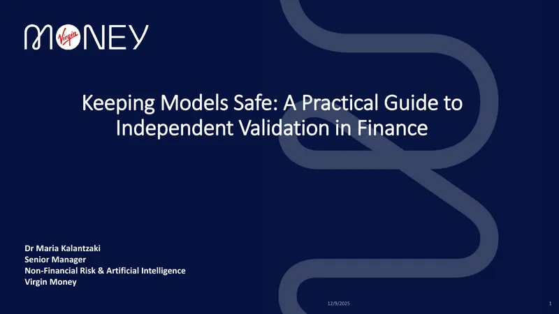 Independent Model Validation in Finance Guide
