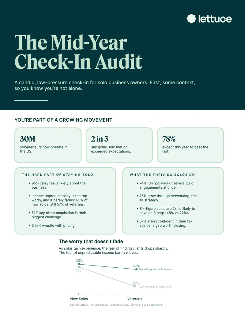 Mid-Year Check-In Audit for Solopreneurs