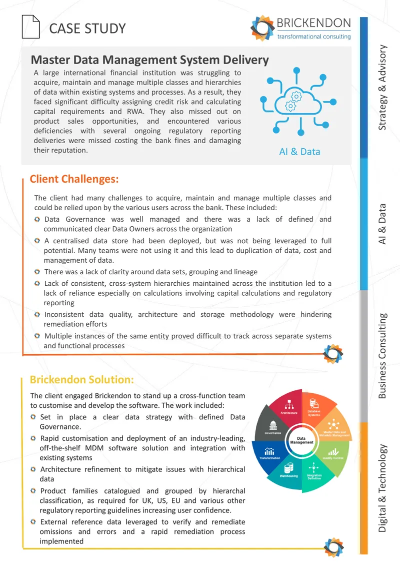 Master Data Management System Implementation Case Study