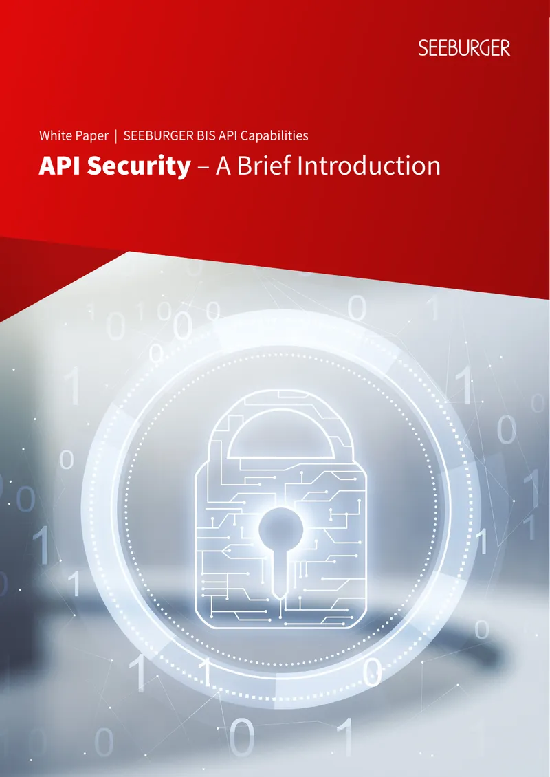 SEEBURGER BIS API Security White Paper