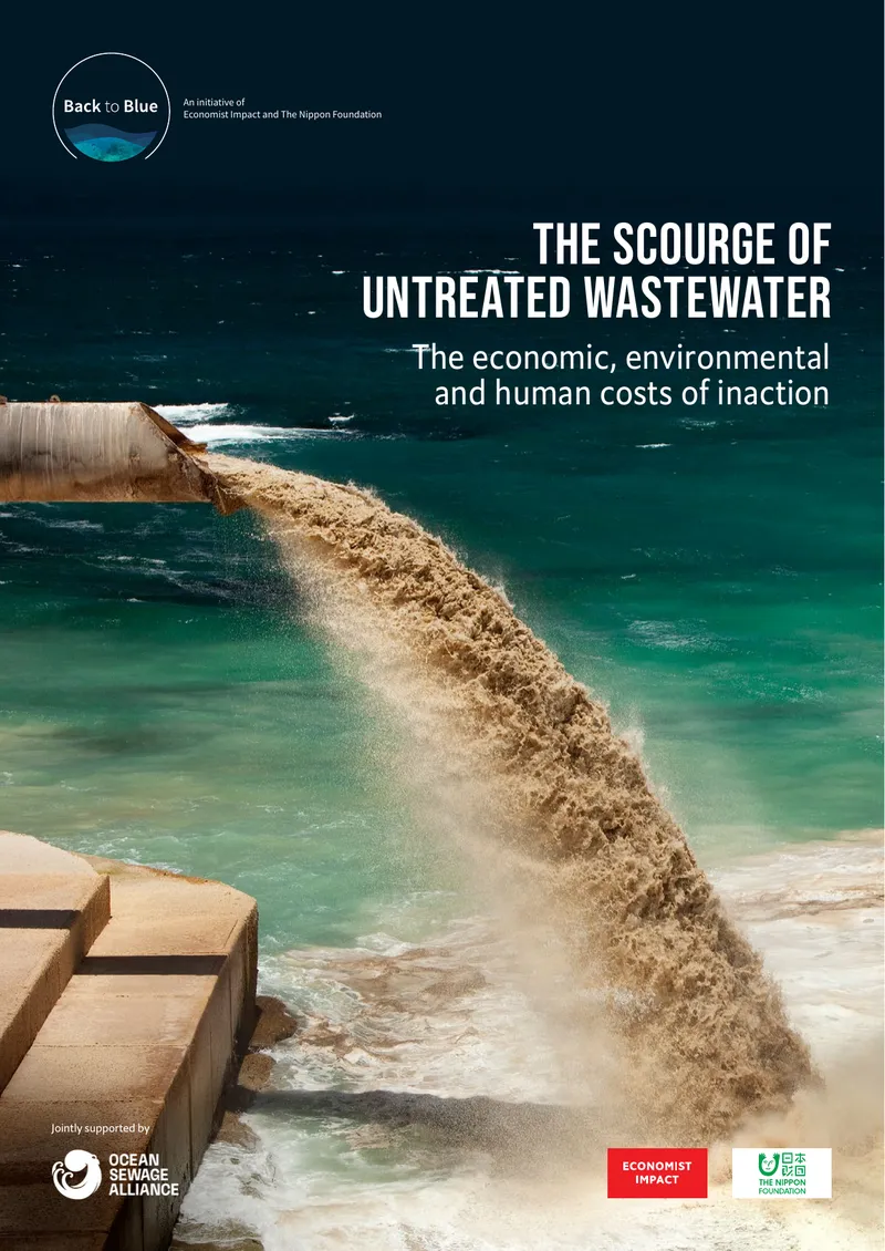 Economic and Environmental Costs of Untreated Wastewater