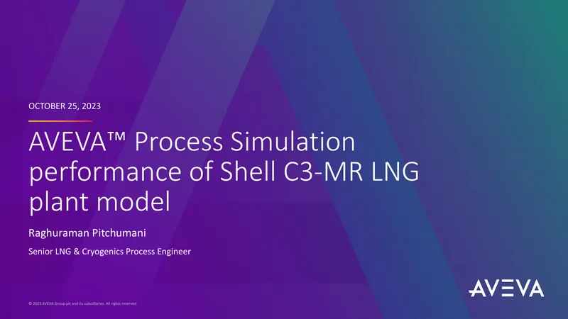 AVEVA Process Simulation Performance Assessment