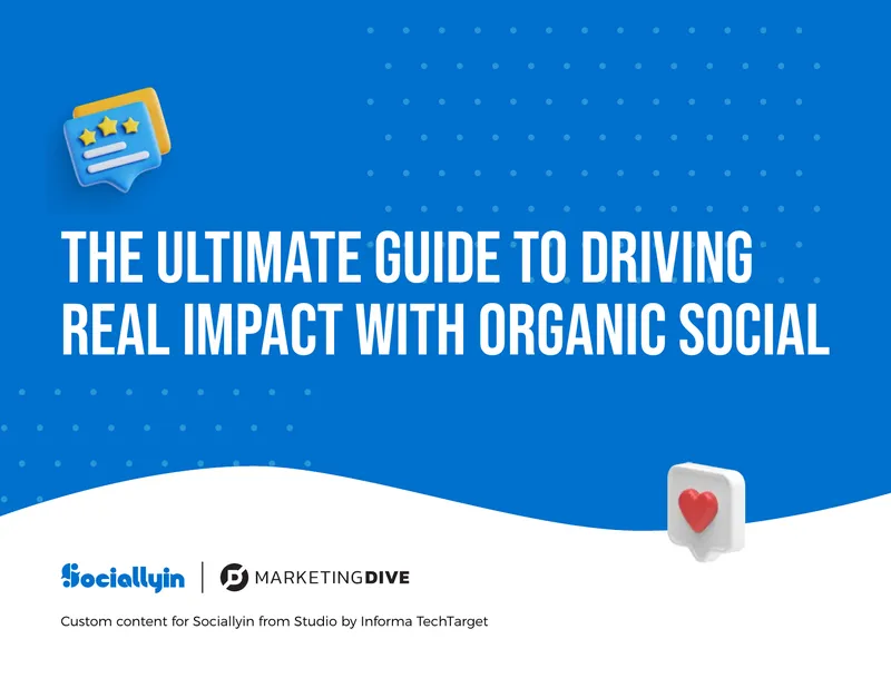 Organic Social Strategy Implementation Guide