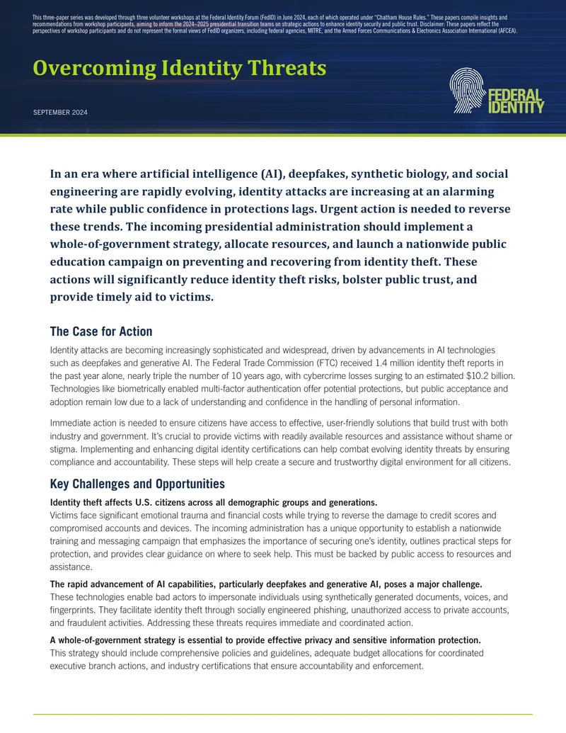 Strategies to Combat Identity Theft Risks