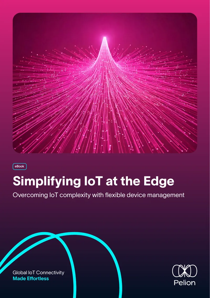 Simplifying IoT Management at the Edge