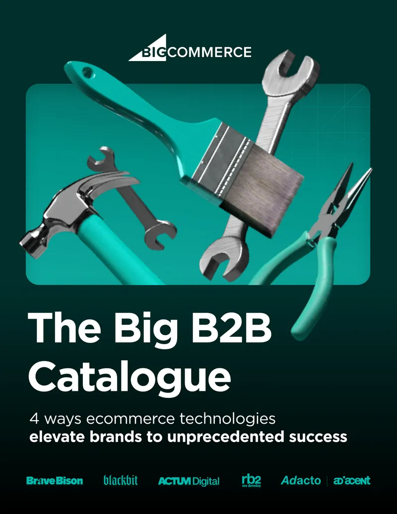 B2B Ecommerce Transformation and Strategies