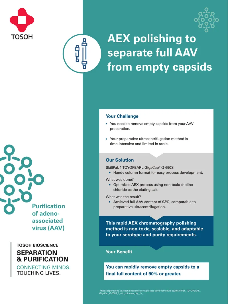 Enhanced AAV Purification Using Choline Chloride