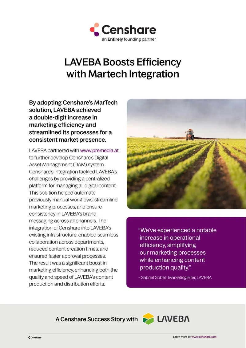 LAVEBA Marketing Efficiency Improvement Case Study