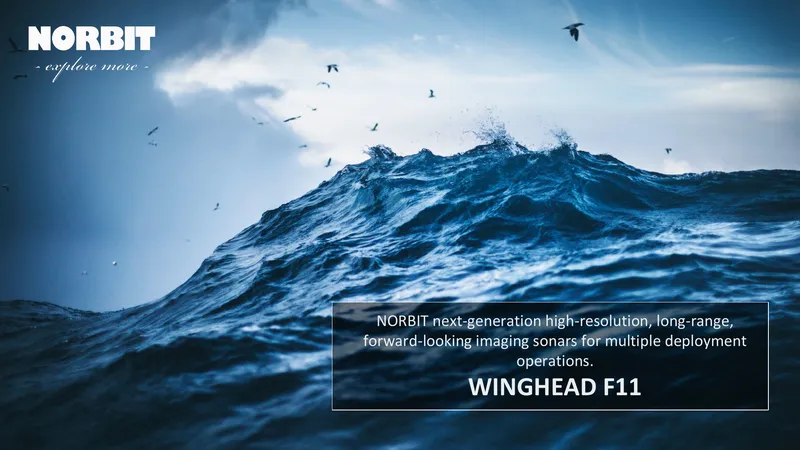 WINGHEAD F11 Imaging Sonar Technical Overview