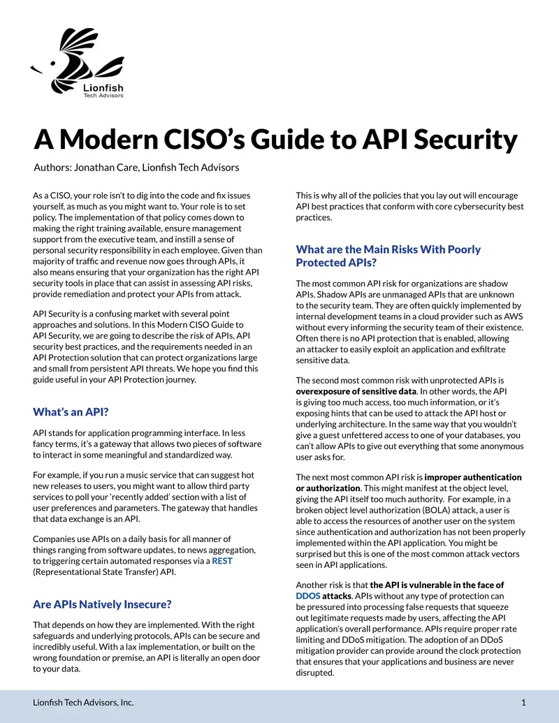 A Modern CISO’s Guide to API Security