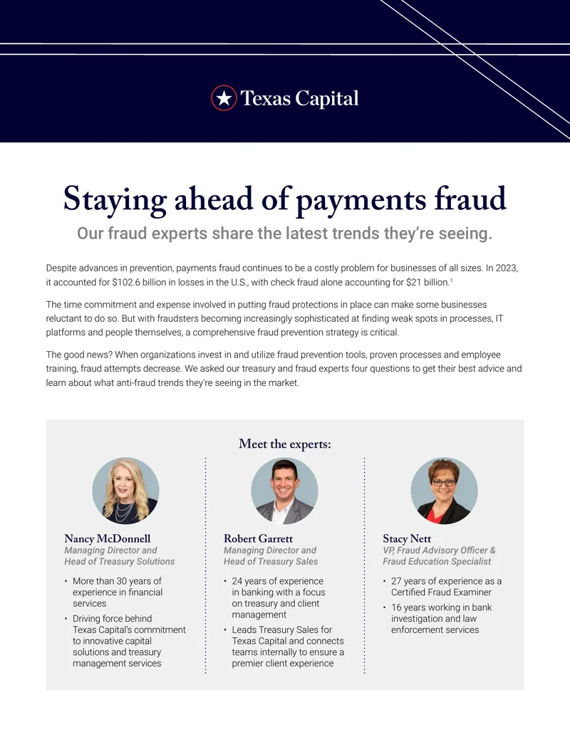 Payments Fraud Prevention Strategies and Insights