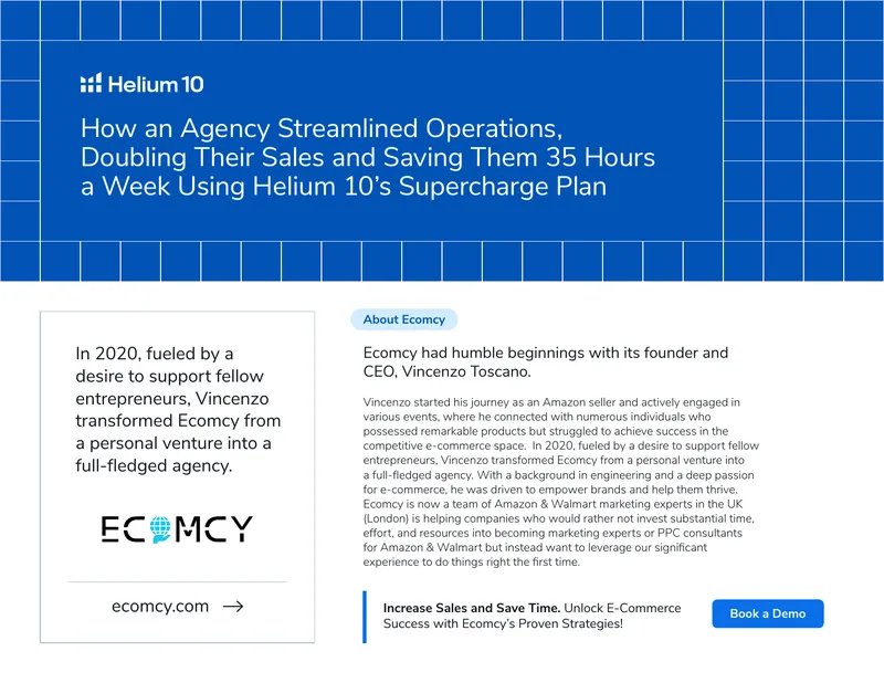Ecomcy Agency Growth and Strategy Report