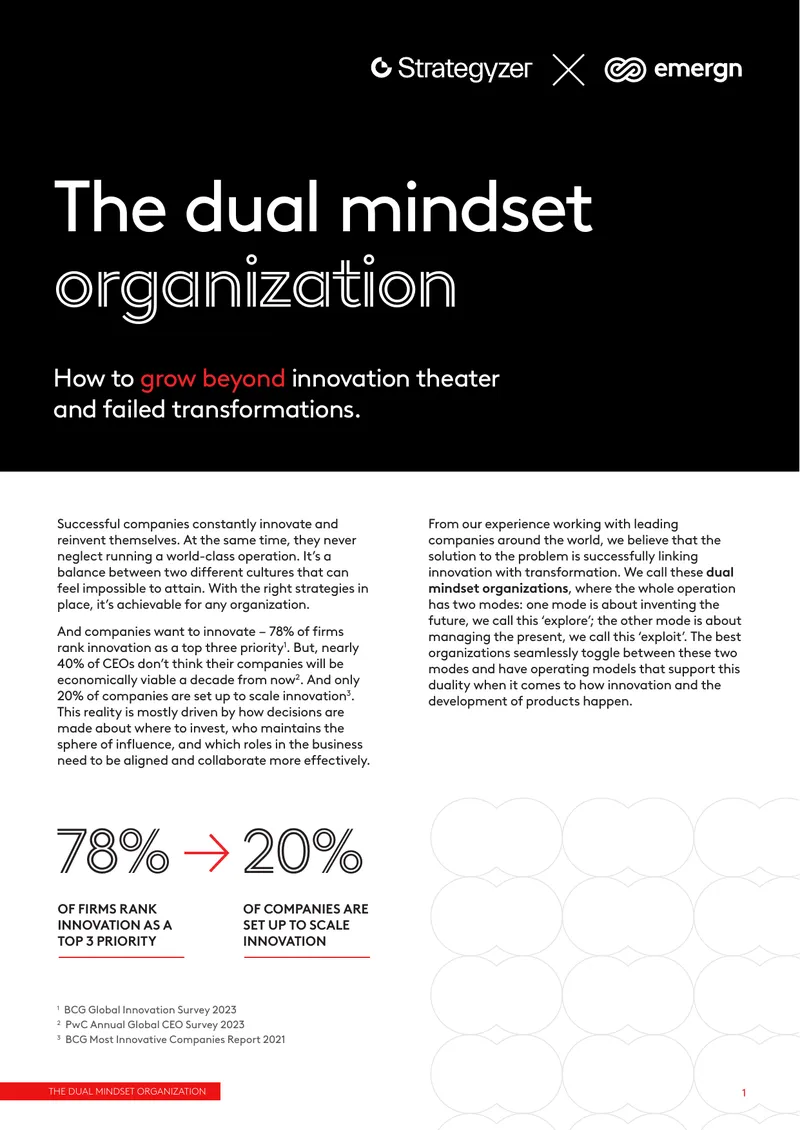 Dual Mindset Organization Framework for Innovation