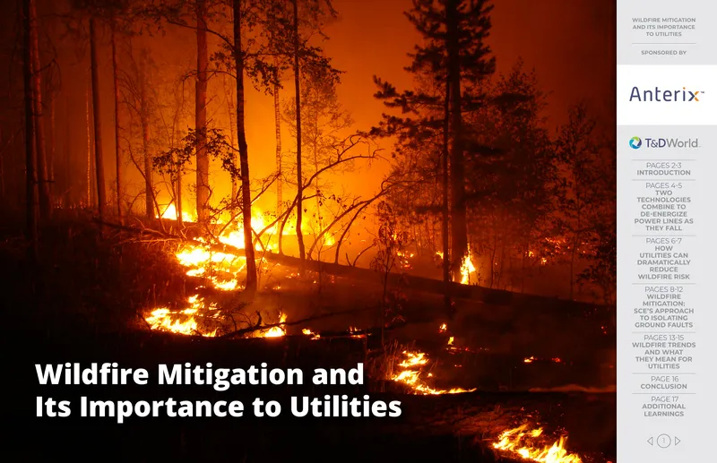 Wildfire Mitigation and Its Importance to Utilities