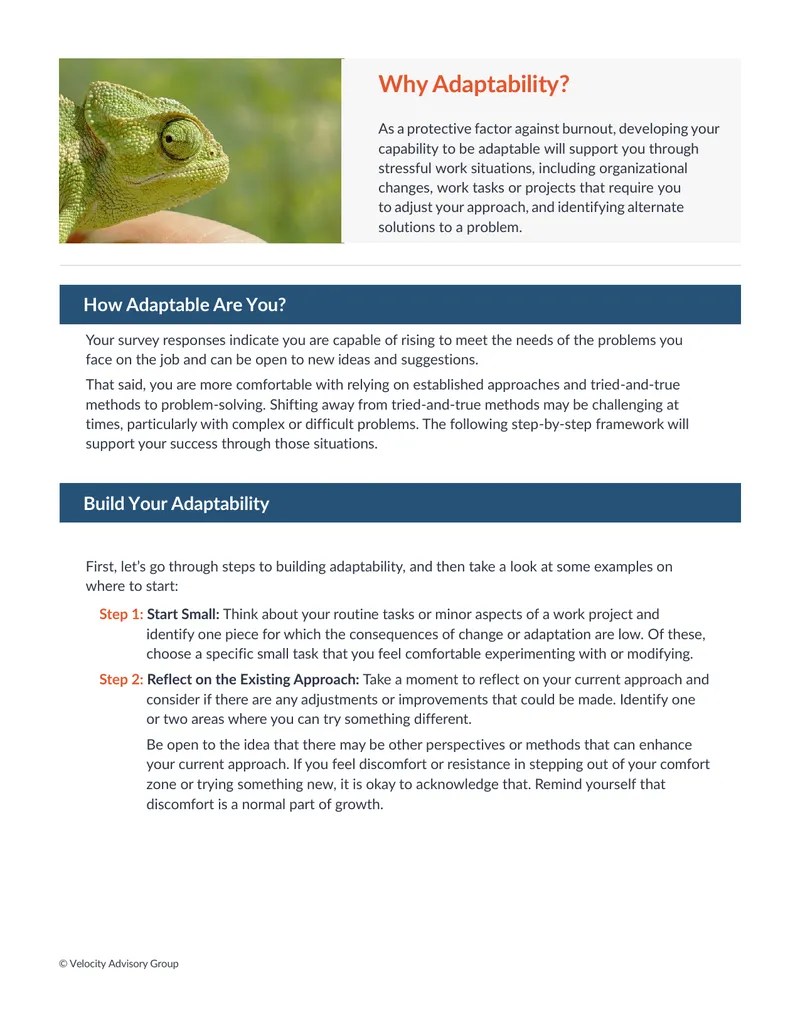 Framework for Developing Adaptability in the Workplace